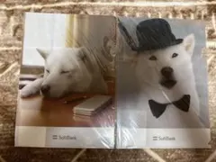 Item thumbnail for item b24fe2b1-d18c-4435-a7f4-2d8c78665117