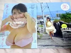 福井梨莉華 切り抜き グラビア 10P★プレイボーイ50号　※表紙付