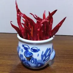 2026年最新】bjorn wiinbladの人気アイテム - メルカリ