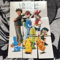 希少】ポケモン アドバンスジェネレーション アドベンチャーカード