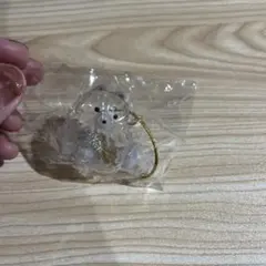 うちの子のけだまだま ポメラニアン