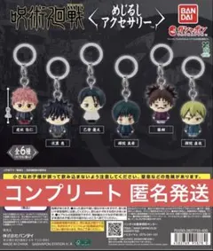 「全6種」 呪術廻戦 死滅回游 めじるしアクセサリー