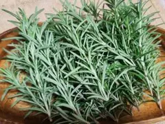 まさき様 リクエスト 2点 まとめ商品