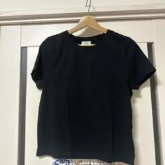 LOWRYSFARM Tシャツ 黒 ラメ入りフリーサイズ
