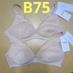 Item thumbnail for item 3dc5fb17-d37e-4a01-ac43-24f268a0260d