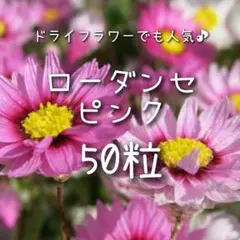 IKU様 リクエスト 3点 まとめ商品