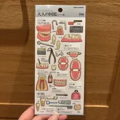 【大人の図鑑シール】歯編