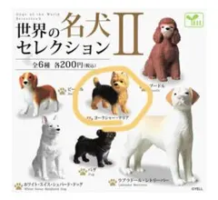 世界の名犬セレクションII ヨークシャーテリア