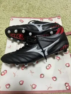 モレリアネオIII JAPAN 29.0