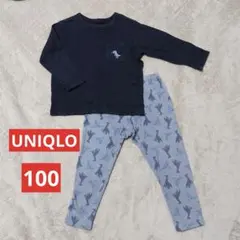 UNIQLO 恐竜柄　セットアップ　100cm パジャマ