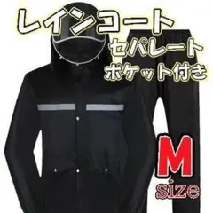 Item thumbnail for item 064908c4-fec3-4f70-8bb1-efe50bc2dead