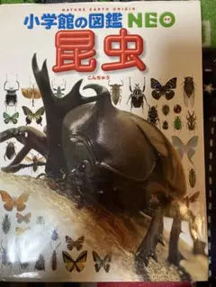 小学校の図鑑 NEO 昆虫