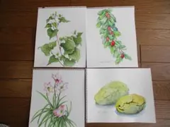 原画　色々な水彩画（その１４）４点