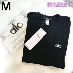 新品タグ付き alo yoga アローヨガ ショートスリーブTシャツ ブラックS 新品 alo yoga アローヨガ ショートスリーブTシャツ ブラック Sサイズ