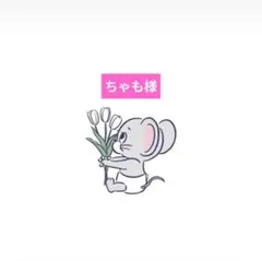 ちゃも様専用ページ