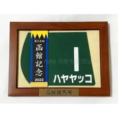 はじめしゃちょー　有馬記念　ゼッケン はじめしゃちょー 有馬記念 レプリカゼッケン 札幌競馬場 非売品