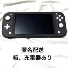 Nintendo Switch Lite グレー　スイッチ