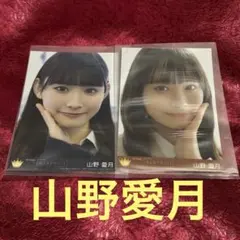 山野愛月 直筆 - メルカリ