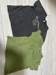 恐竜プリント Tシャツ 2枚セット