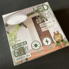 Item thumbnail for item 901abc35-fd4a-428e-a396-a841c687f793