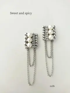 ✦No.93【Sweet and spicy】甘辛ビーズ刺繍ピアス/イヤリング✦