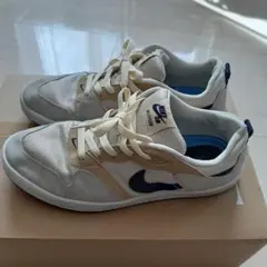 Nike SB Alleyoop 27.5cm スニーカー ナイキアリウープ