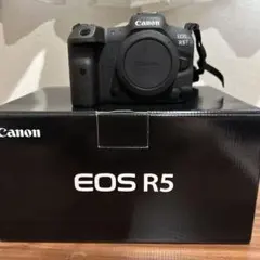 ✨予備電池付✨Canon EOS R5 18-135mm USMレンズ✨ - メルカリ