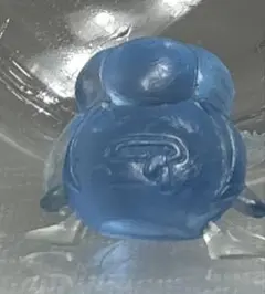 ポケットモンスター　クリアフィギュア　ポケモン