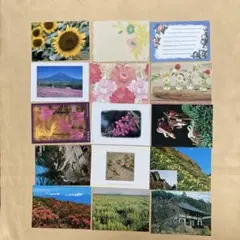 2026年最新】花様年華ポストカードの人気アイテム - メルカリ