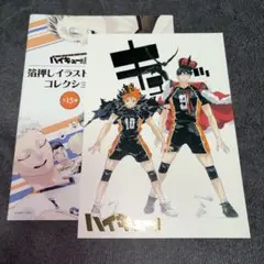 ハイキュー 影山飛雄 日向翔陽 箔押しイラストカード ハイキュー!!展 箔押しイラストカードコレクション 烏野 日向翔