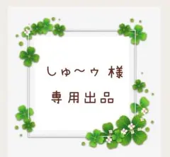 しゆ〜ゥ様 リクエスト 2点 まとめ商品