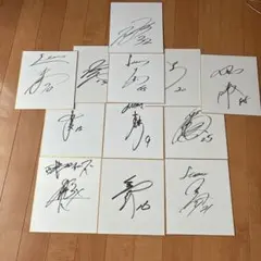 2026年最新】埼玉西武ライオンズ隅田知一郎の人気アイテム - メルカリ