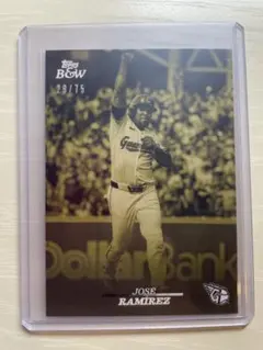 Topps Black & White Baseball ラミレス　パラレル