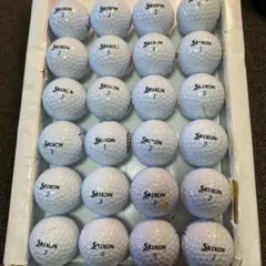 Item thumbnail for item 9f8775cd-50d7-4e15-b1cc-7e9b05b45f7c