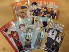 ハイキュー!! 一番くじ I賞　チケットホルダー