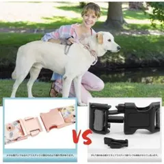 Item thumbnail for item 2df9c419-895e-424b-abfa-12de6493a6d0