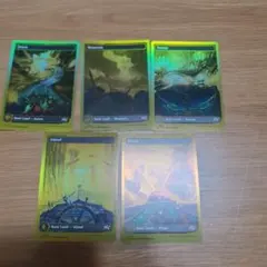 1st place basic land foils