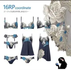 サルート　16RP ブラジャーショーツセット　F70 ショーツL ダンガM