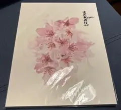 滝沢歌舞伎ZERO ファイナル　パンフレット