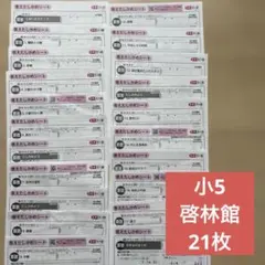 小5 算数　啓林館　答えたしかめシート　光文書院