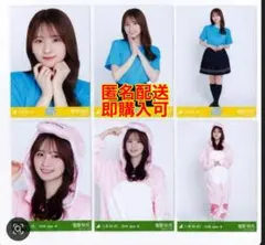 菅原咲月 真夏の全国ツアー2026 ツアーTシャツ 恐竜 福井 6種 - メルカリ