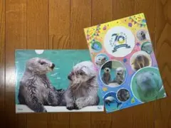 tks3102様 リクエスト 2点 まとめ商品