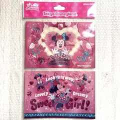 ミニー ファンダーランド パルパルーザ ポストカード