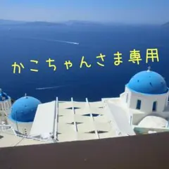 かこちゃんさま専用