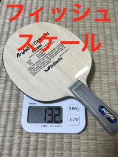 卓球　ラケット　ビスカリア　FL