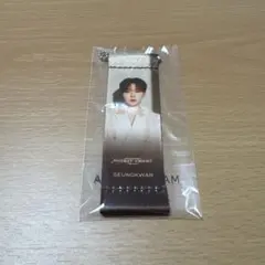 【未開封】SEUNGKWAN カプセルトイ