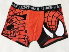 Item thumbnail for item e0a6dc71-c059-424d-b52a-c35ec4de8b13