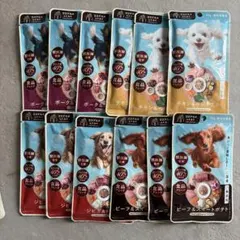 ココグルメ レトルト ビーフ＆スイートポテト 50g 24個セット - メルカリ