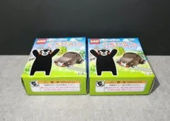 Item thumbnail for item 5f65ea8d-f74c-4363-8fb7-ed12255db38b