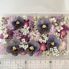 No.577 花材色々ドライフラワーセット